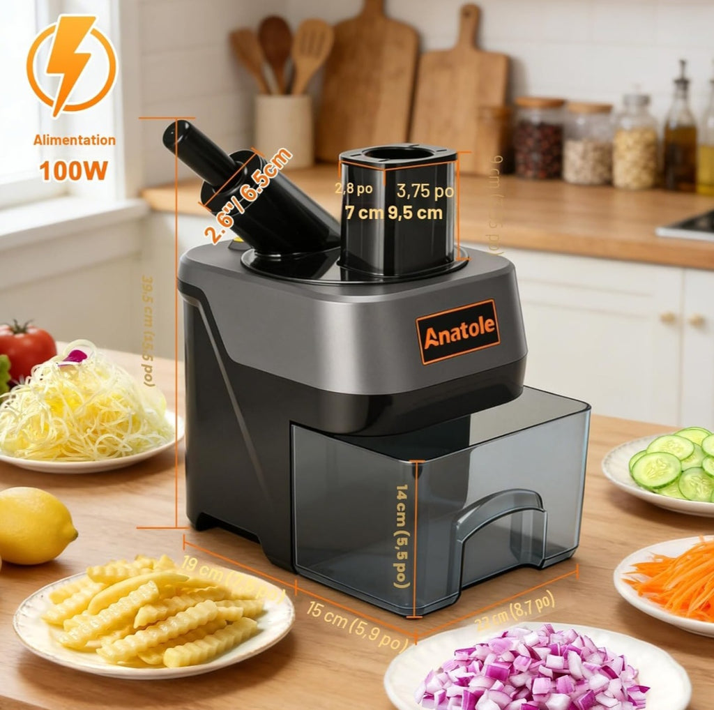 robot culinaire électrique anatole